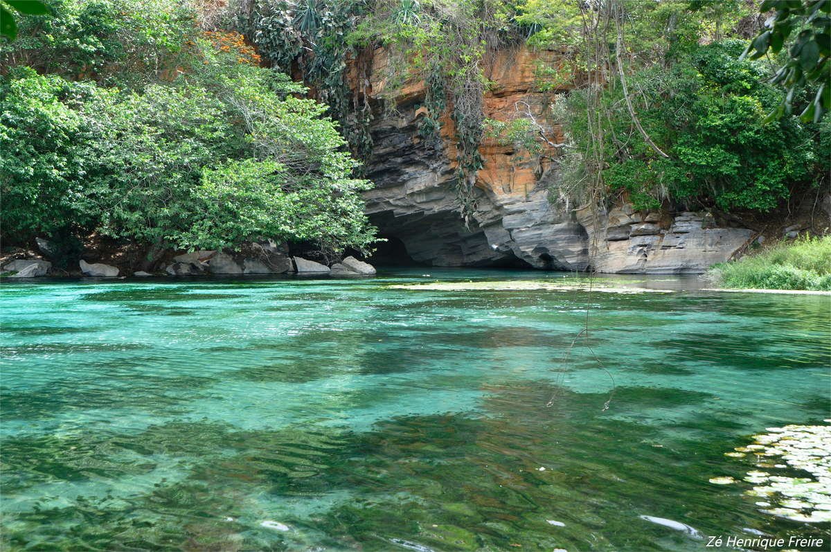 nativos-express-00004