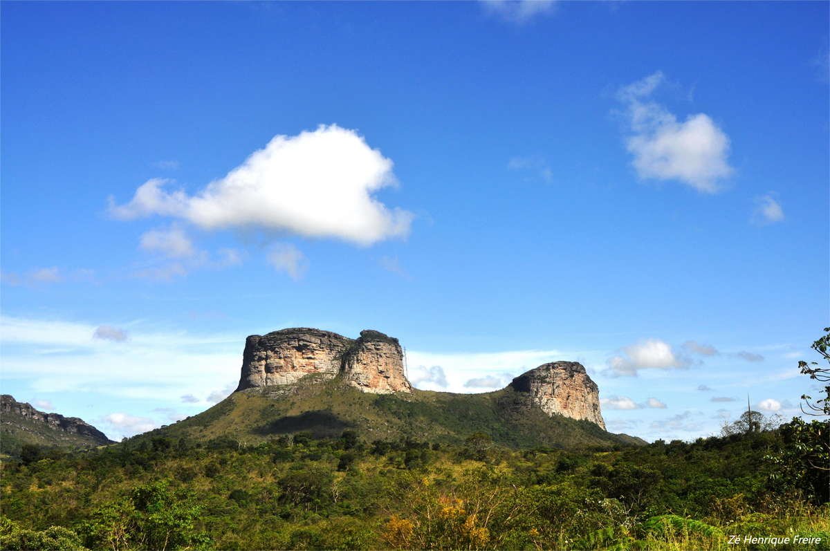 nativos-express-00011