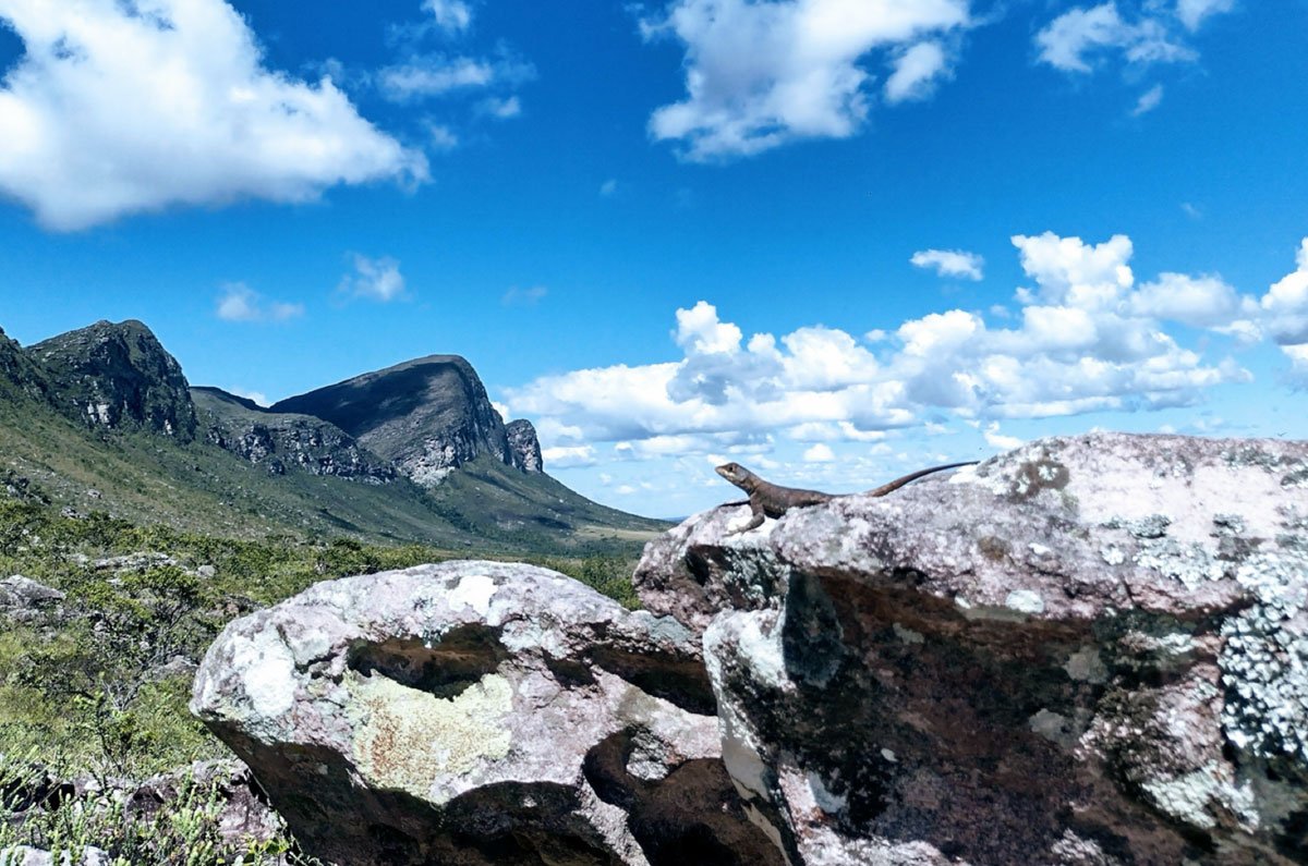 valei-do-pati--00011