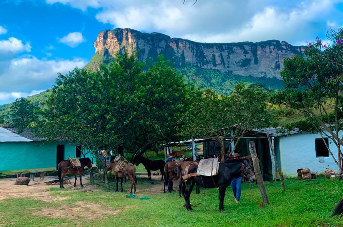 valei-do-pati--00018