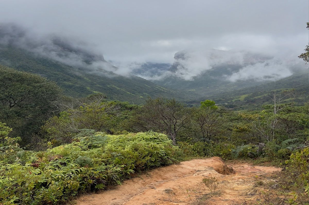 valei-do-pati--00025